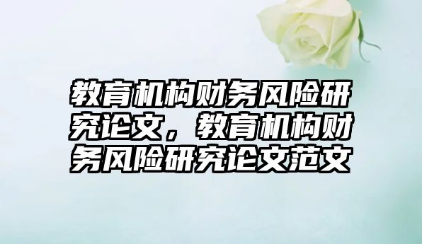 教育機構財務風險研究論文，教育機構財務風險研究論文范文