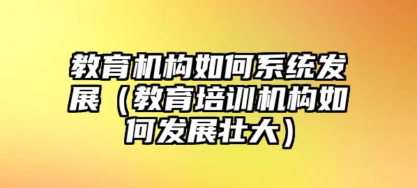 教育機構如何系統發展（教育培訓機構如何發展壯大）