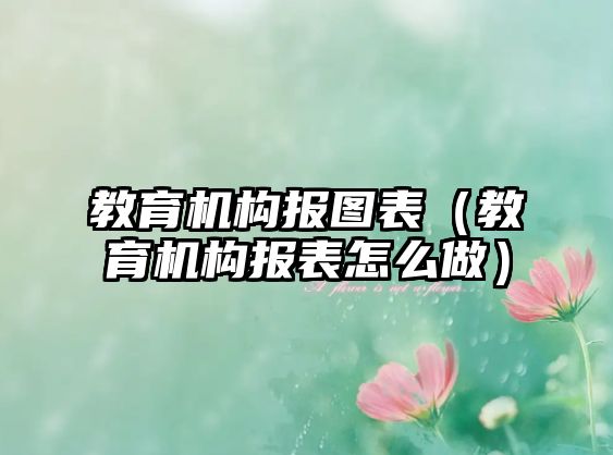 教育機構報圖表（教育機構報表怎么做）