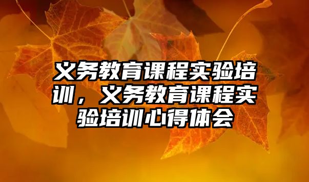 義務教育課程實驗培訓，義務教育課程實驗培訓心得體會