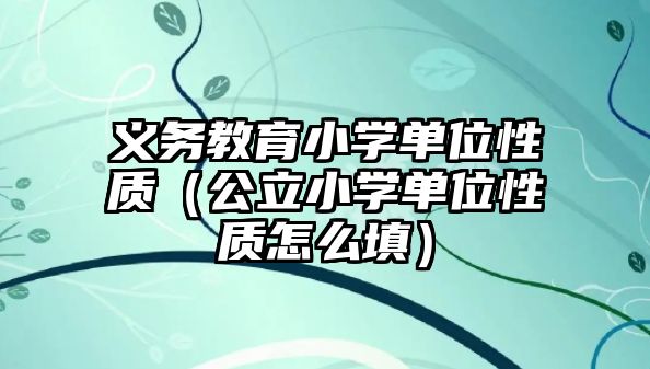 義務教育小學單位性質（公立小學單位性質怎么填）