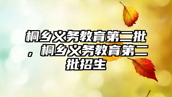 桐鄉義務教育第二批，桐鄉義務教育第二批招生