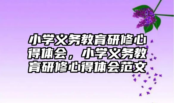 小學義務教育研修心得體會，小學義務教育研修心得體會范文