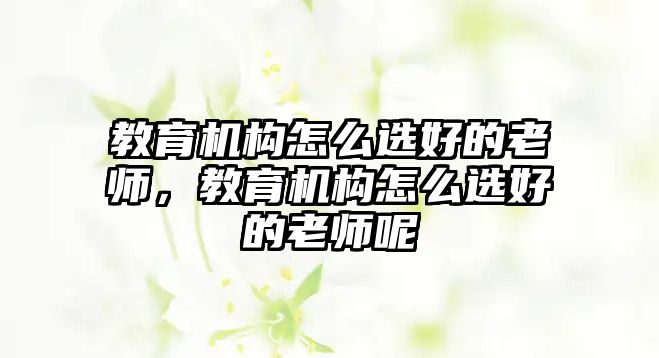 教育機構怎么選好的老師，教育機構怎么選好的老師呢