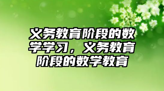 義務教育階段的數學學習，義務教育階段的數學教育