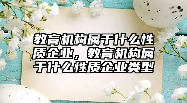 教育機構(gòu)屬于什么性質(zhì)企業(yè)，教育機構(gòu)屬于什么性質(zhì)企業(yè)類型