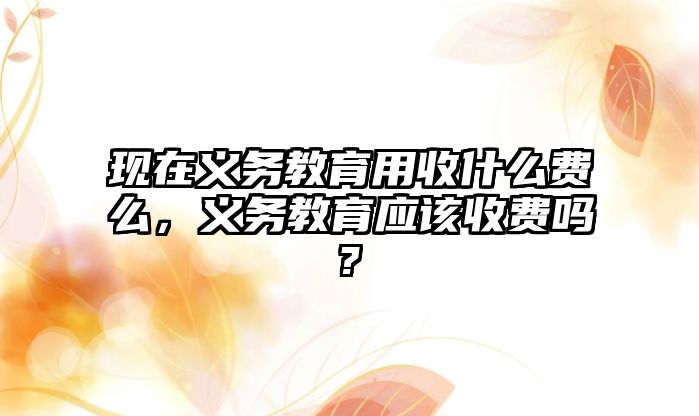 現在義務教育用收什么費么，義務教育應該收費嗎?