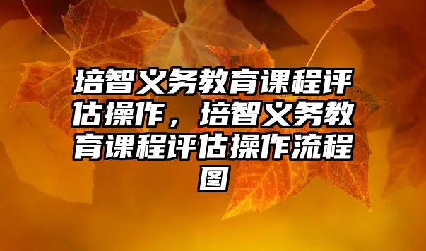 培智義務教育課程評估操作，培智義務教育課程評估操作流程圖