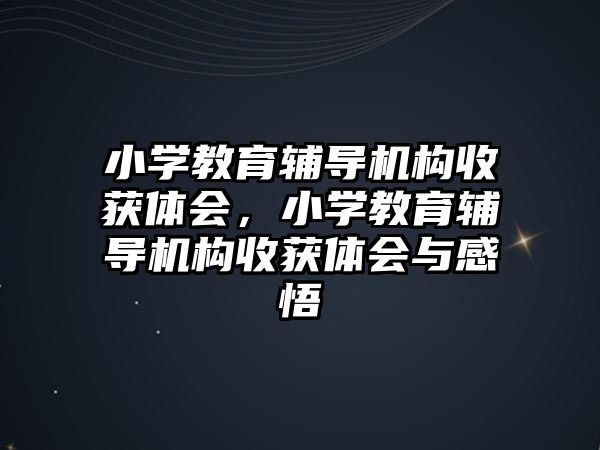 小學教育輔導機構收獲體會，小學教育輔導機構收獲體會與感悟