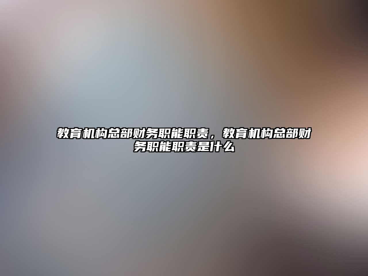 教育機構總部財務職能職責，教育機構總部財務職能職責是什么